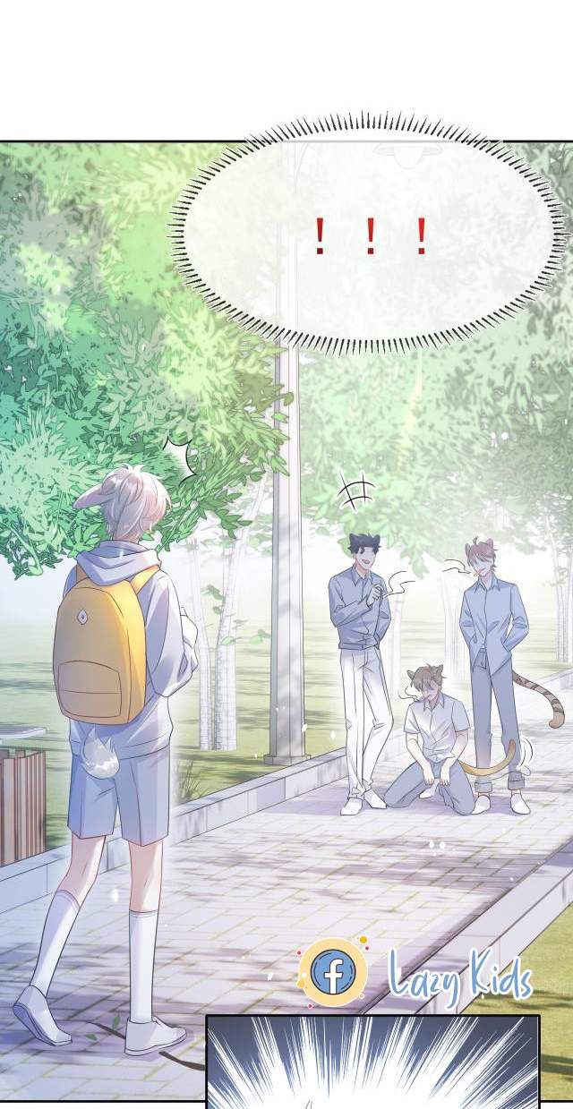 Một Ngụm Nuốt Trọn Thỏ Con Chapter 1 - Trang 2