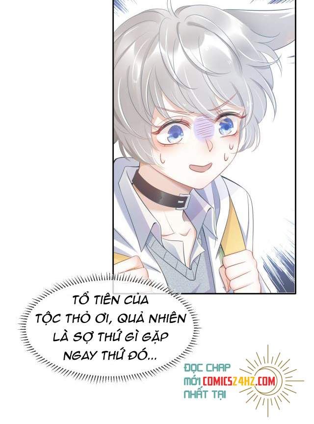 Một Ngụm Nuốt Trọn Thỏ Con Chapter 1 - Trang 2