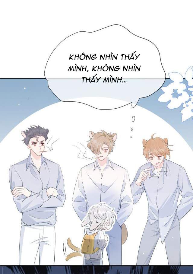 Một Ngụm Nuốt Trọn Thỏ Con Chapter 1 - Trang 2