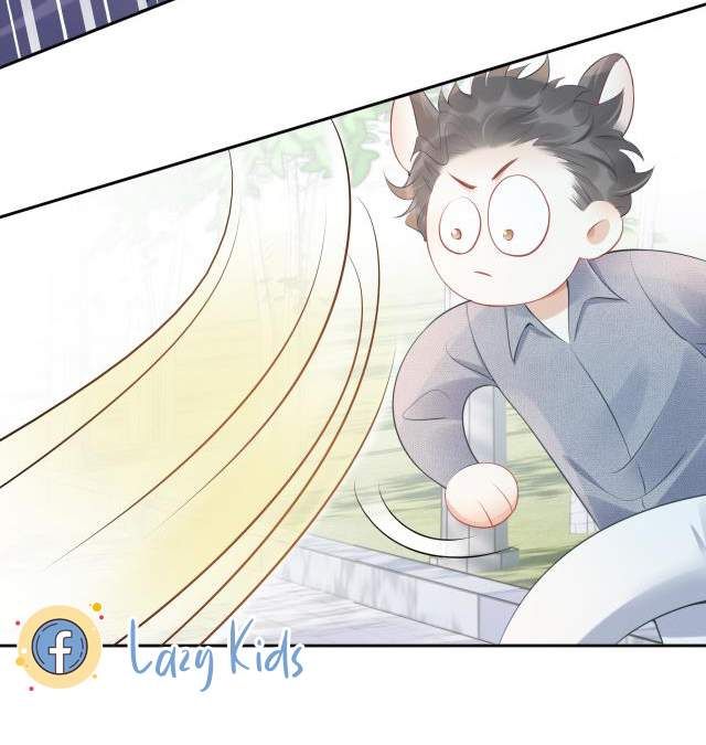 Một Ngụm Nuốt Trọn Thỏ Con Chapter 1 - Trang 2