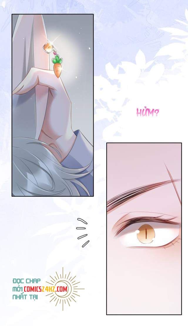 Một Ngụm Nuốt Trọn Thỏ Con Chapter 1 - Trang 2