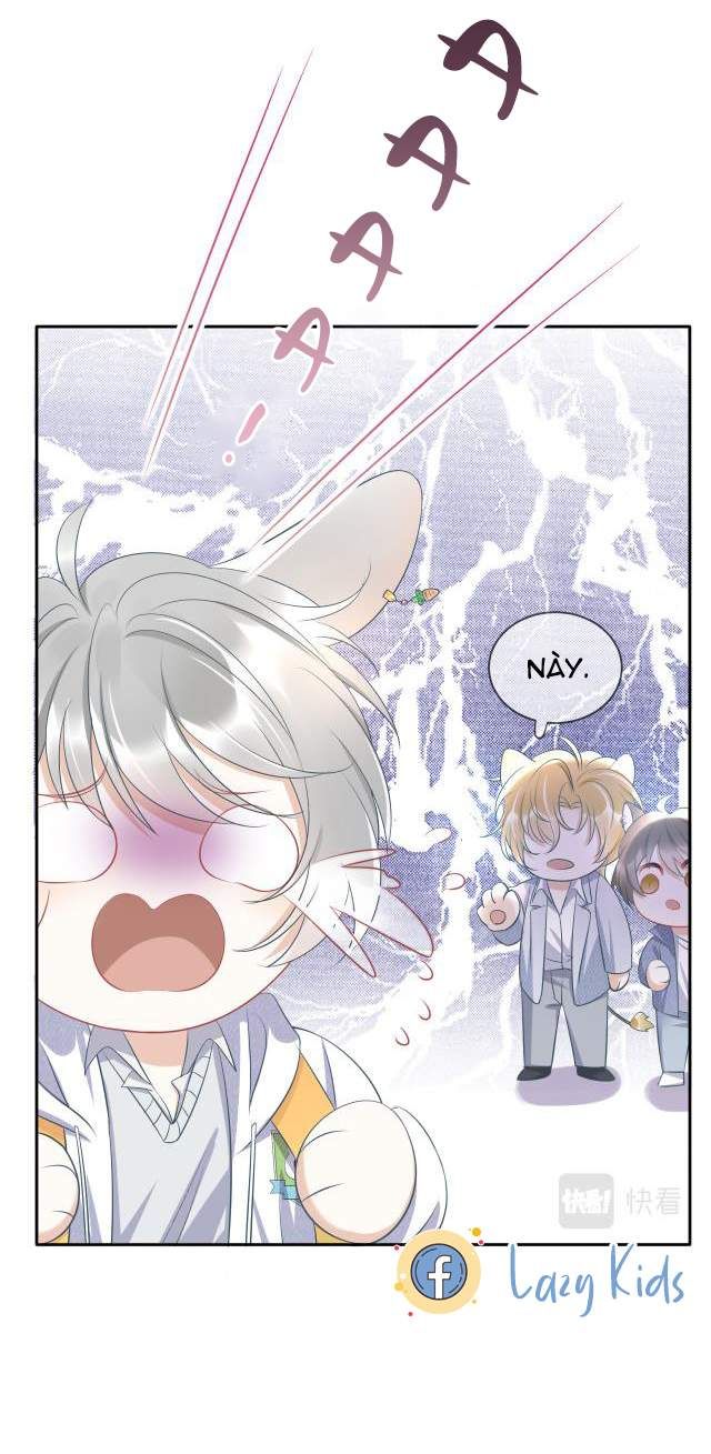 Một Ngụm Nuốt Trọn Thỏ Con Chapter 1 - Trang 2