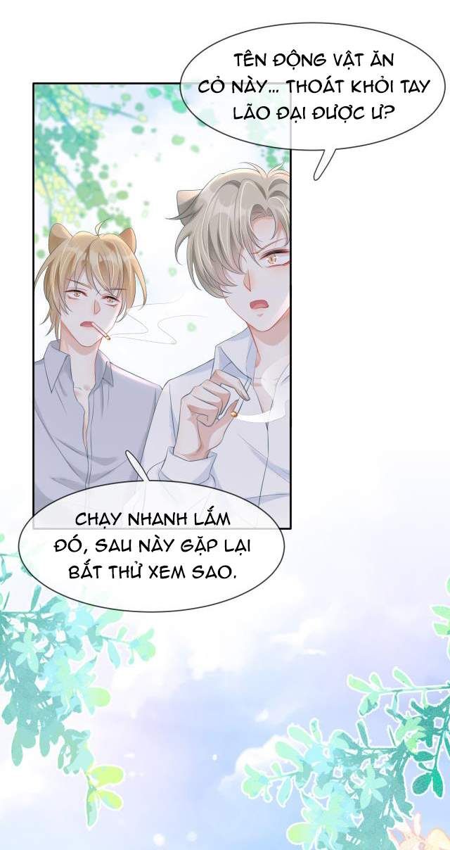 Một Ngụm Nuốt Trọn Thỏ Con Chapter 1 - Trang 2