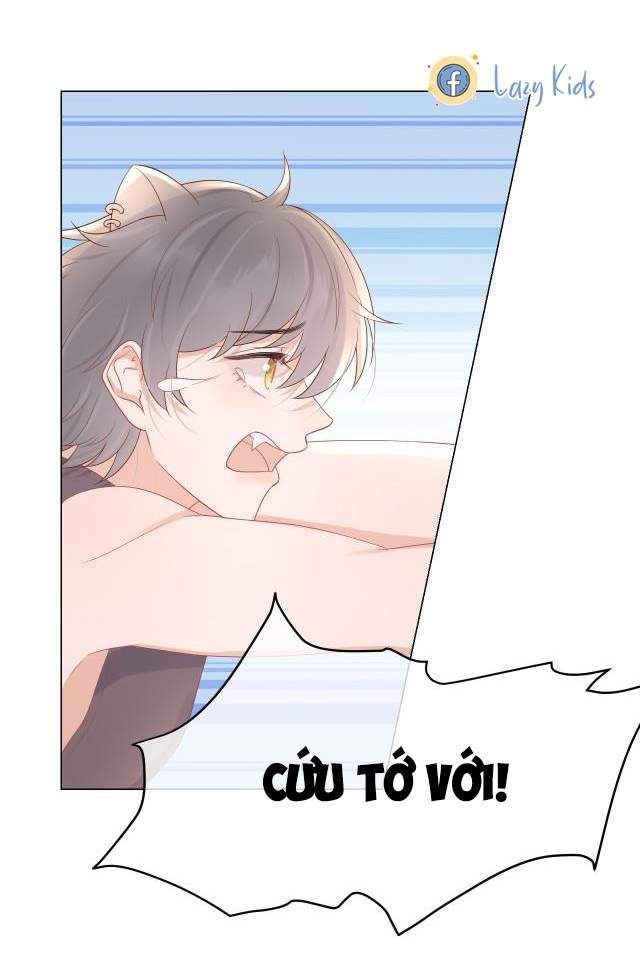 Một Ngụm Nuốt Trọn Thỏ Con Chapter 11 - Trang 2