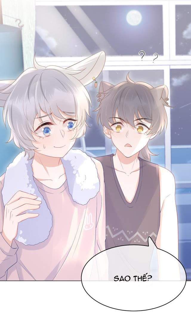 Một Ngụm Nuốt Trọn Thỏ Con Chapter 11 - Trang 2