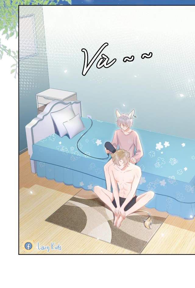 Một Ngụm Nuốt Trọn Thỏ Con Chapter 11 - Trang 2