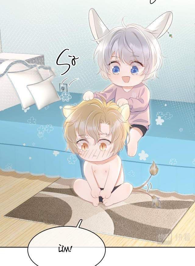 Một Ngụm Nuốt Trọn Thỏ Con Chapter 11 - Trang 2