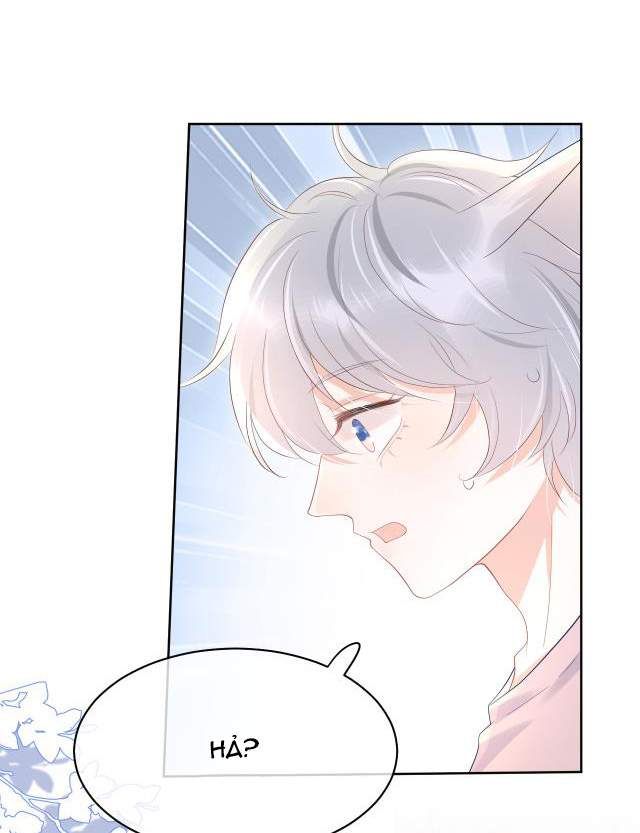 Một Ngụm Nuốt Trọn Thỏ Con Chapter 11 - Trang 2