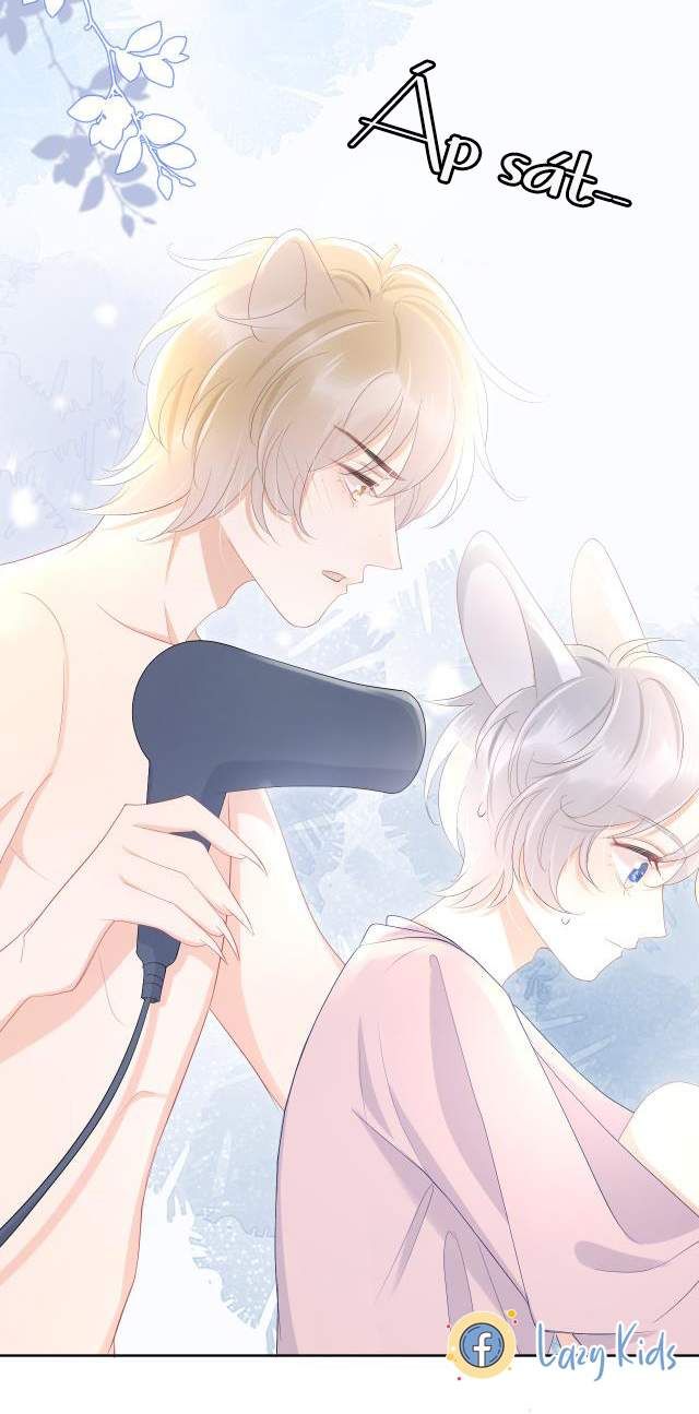 Một Ngụm Nuốt Trọn Thỏ Con Chapter 11 - Trang 2