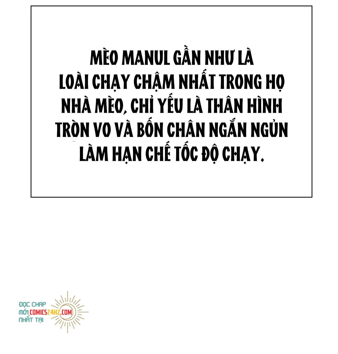 Một Ngụm Nuốt Trọn Thỏ Con Chapter 12 - Trang 2