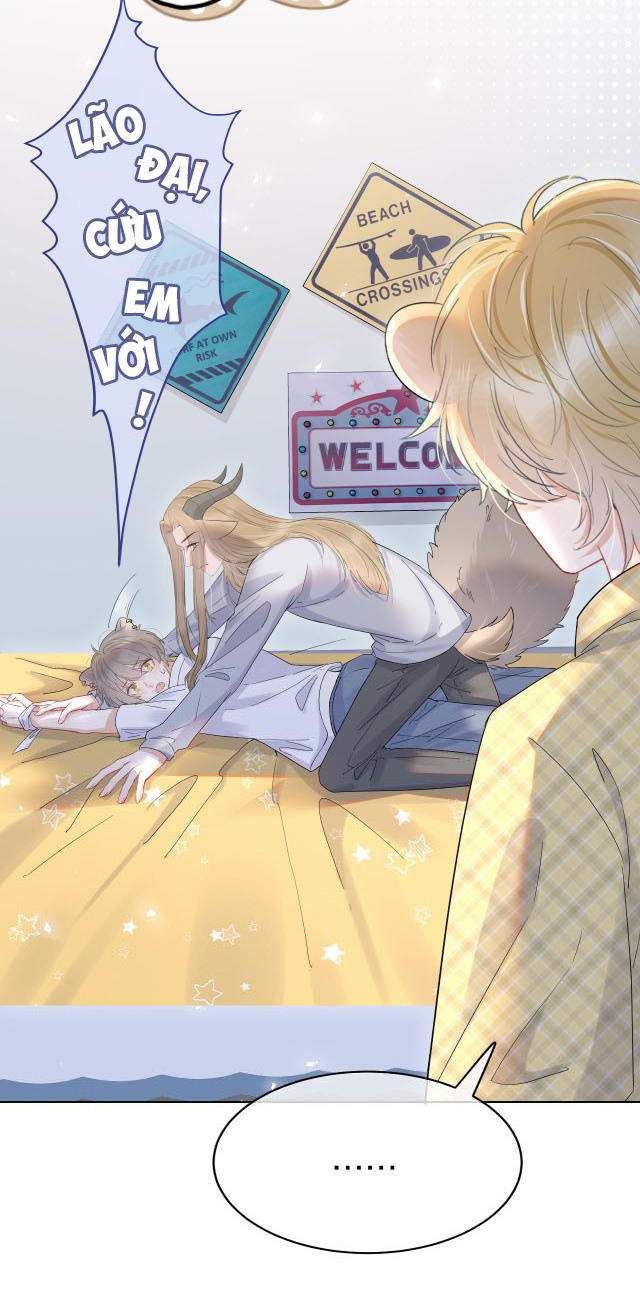 Một Ngụm Nuốt Trọn Thỏ Con Chapter 14 - Trang 2