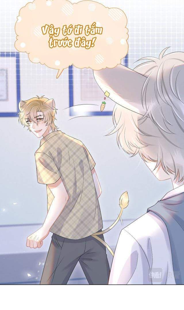 Một Ngụm Nuốt Trọn Thỏ Con Chapter 14 - Trang 2