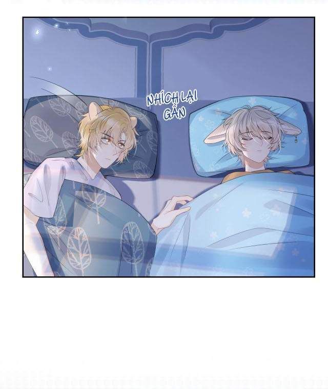 Một Ngụm Nuốt Trọn Thỏ Con Chapter 14 - Trang 2