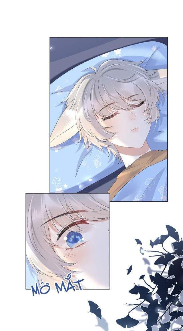 Một Ngụm Nuốt Trọn Thỏ Con Chapter 14 - Trang 2