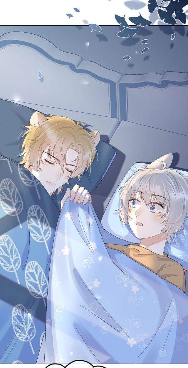 Một Ngụm Nuốt Trọn Thỏ Con Chapter 14 - Trang 2