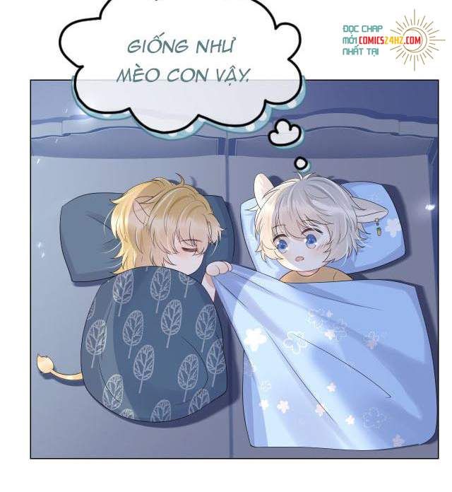 Một Ngụm Nuốt Trọn Thỏ Con Chapter 14 - Trang 2