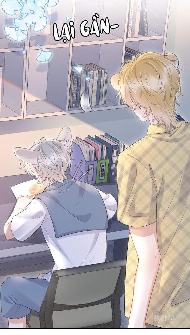 Một Ngụm Nuốt Trọn Thỏ Con Chapter 14 - Trang 2
