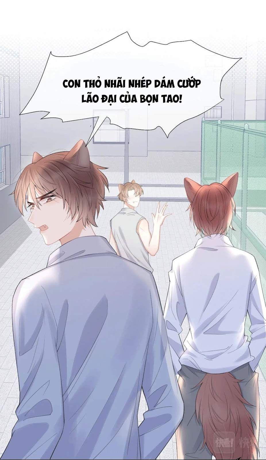 Một Ngụm Nuốt Trọn Thỏ Con Chapter 15 - Trang 2