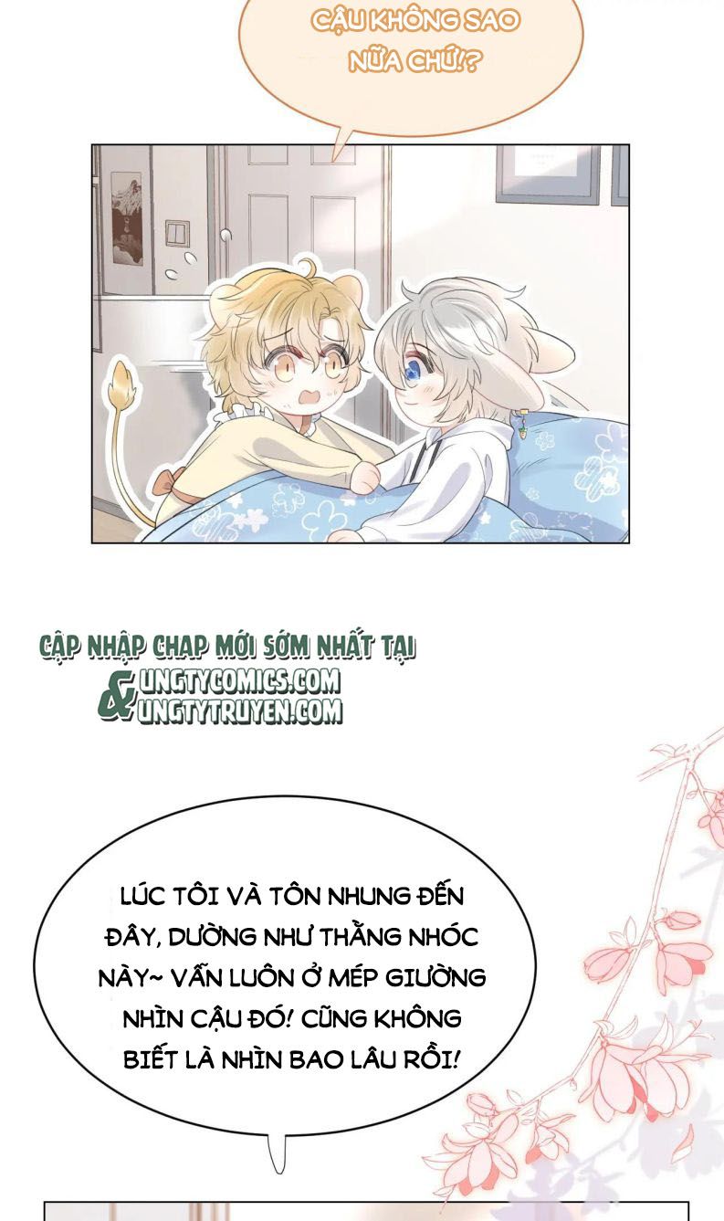 Một Ngụm Nuốt Trọn Thỏ Con Chapter 17 - Trang 2