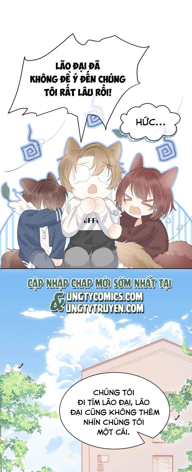Một Ngụm Nuốt Trọn Thỏ Con Chapter 19 - Trang 2