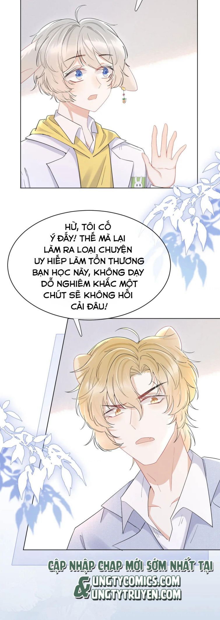 Một Ngụm Nuốt Trọn Thỏ Con Chapter 19 - Trang 2