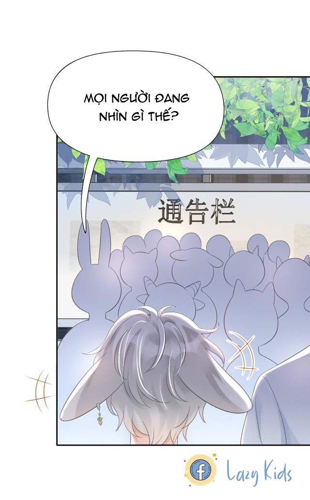 Một Ngụm Nuốt Trọn Thỏ Con Chapter 2 - Trang 2