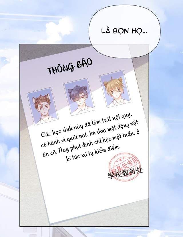 Một Ngụm Nuốt Trọn Thỏ Con Chapter 2 - Trang 2