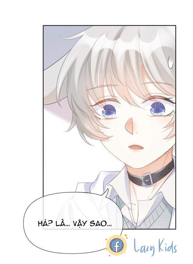 Một Ngụm Nuốt Trọn Thỏ Con Chapter 2 - Trang 2