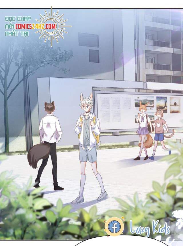Một Ngụm Nuốt Trọn Thỏ Con Chapter 2 - Trang 2