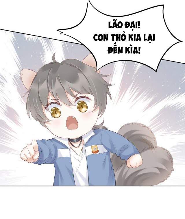 Một Ngụm Nuốt Trọn Thỏ Con Chapter 2 - Trang 2