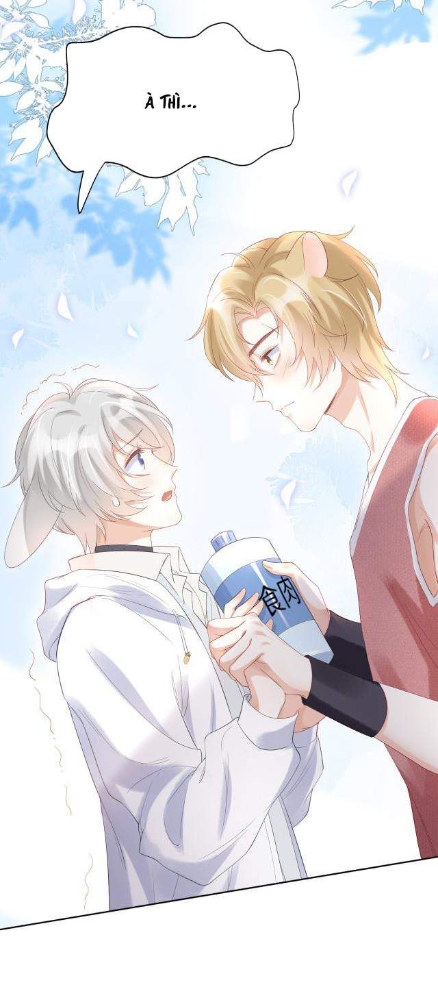 Một Ngụm Nuốt Trọn Thỏ Con Chapter 2 - Trang 2