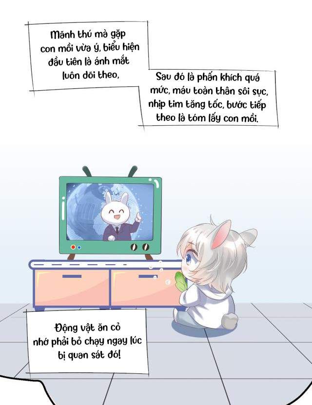 Một Ngụm Nuốt Trọn Thỏ Con Chapter 2 - Trang 2