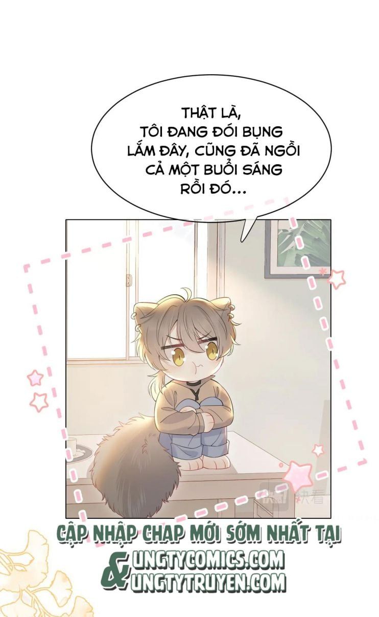 Một Ngụm Nuốt Trọn Thỏ Con Chapter 20 - Trang 2
