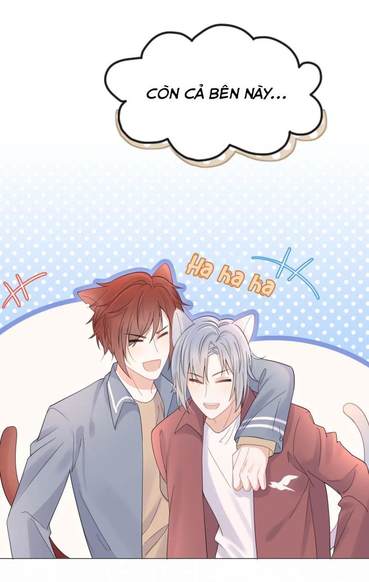 Một Ngụm Nuốt Trọn Thỏ Con Chapter 21 - Trang 2