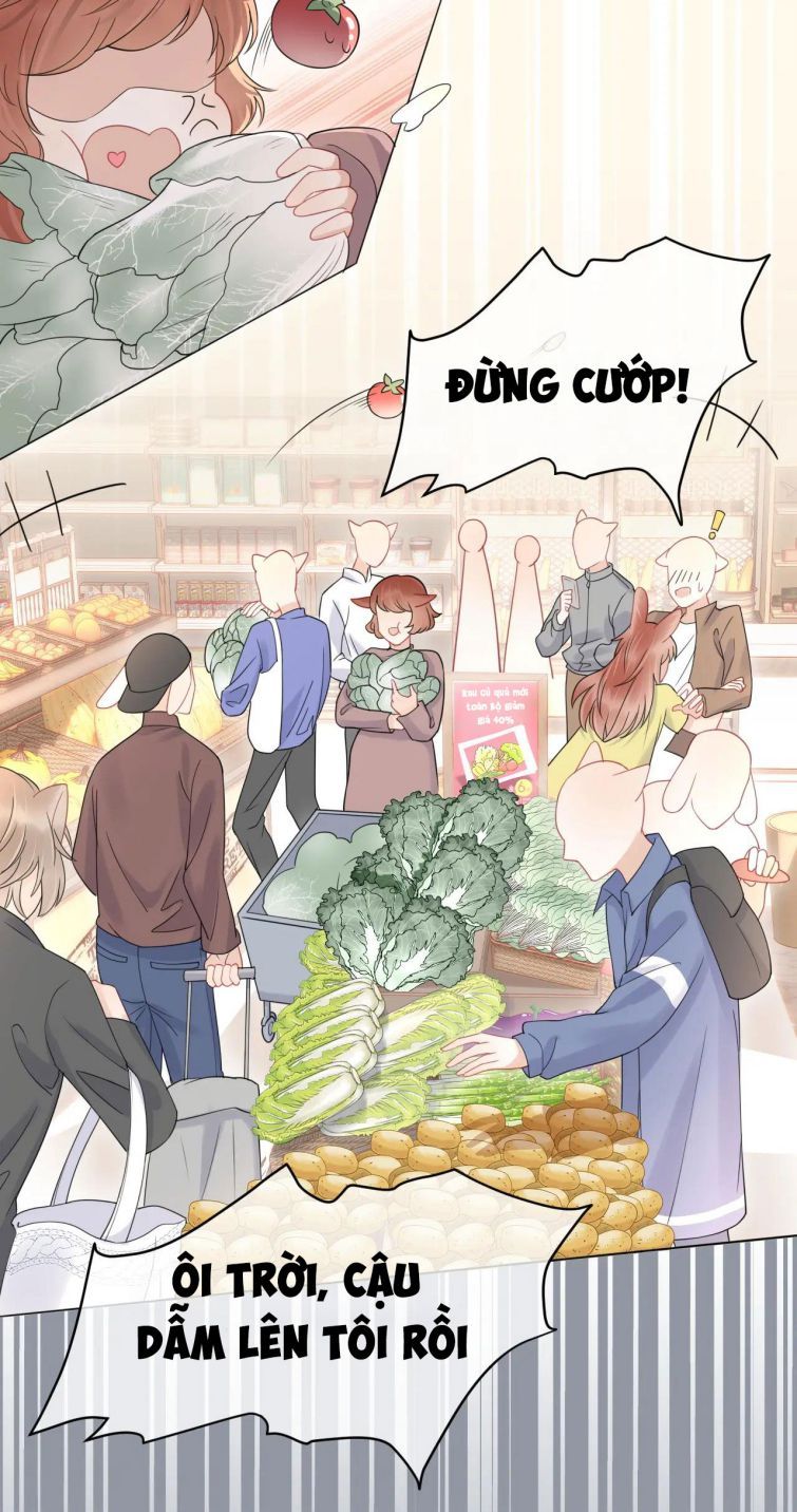 Một Ngụm Nuốt Trọn Thỏ Con Chapter 21 - Trang 2