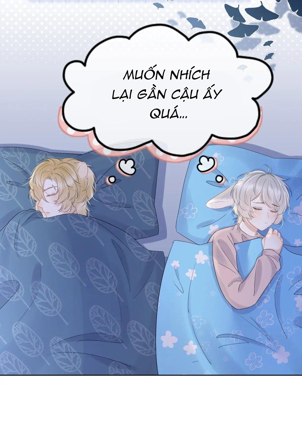 Một Ngụm Nuốt Trọn Thỏ Con Chapter 23 - Trang 2