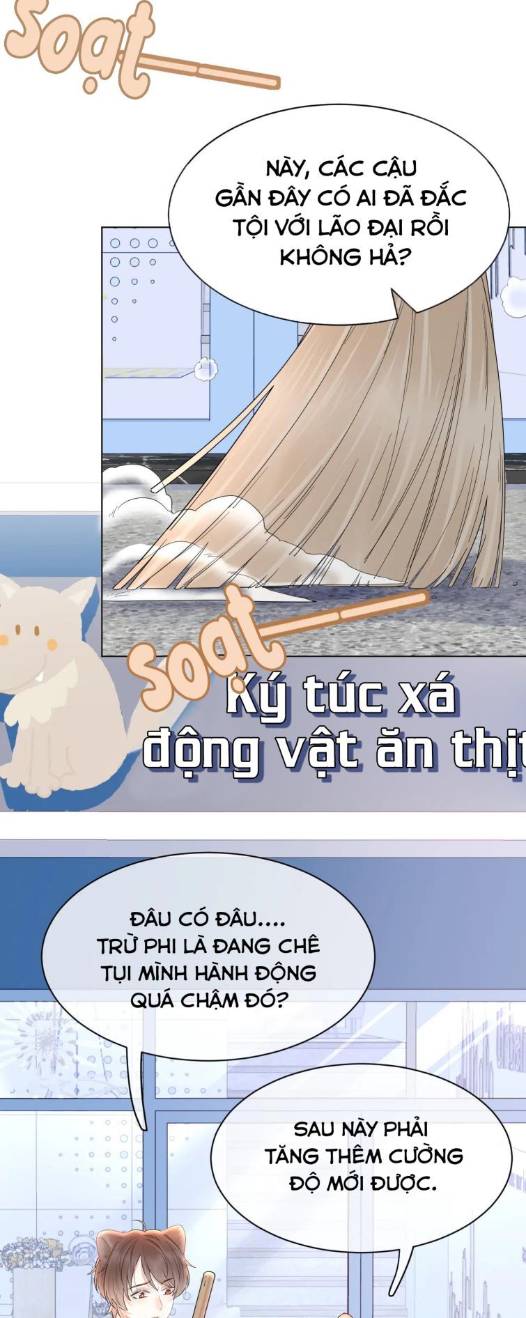 Một Ngụm Nuốt Trọn Thỏ Con Chapter 24 - Trang 2