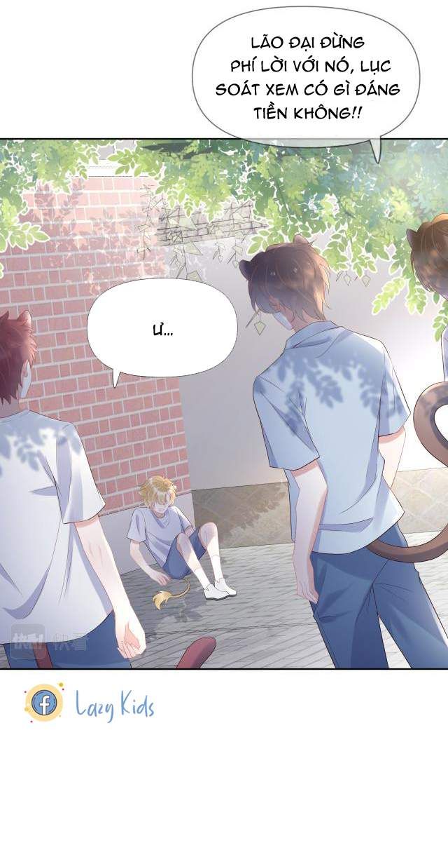 Một Ngụm Nuốt Trọn Thỏ Con Chapter 3 - Trang 2