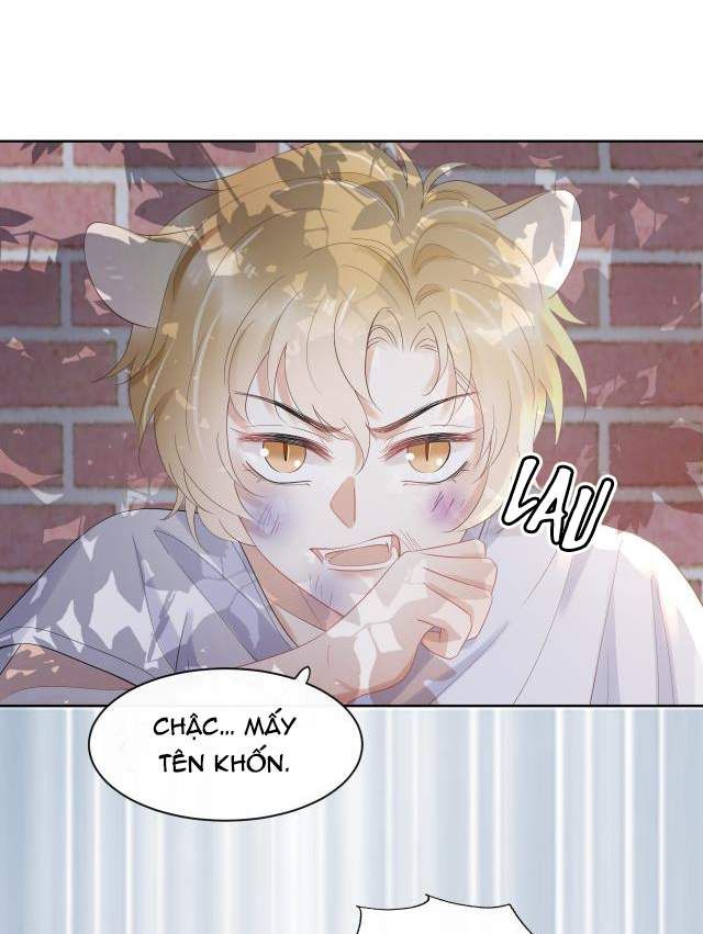 Một Ngụm Nuốt Trọn Thỏ Con Chapter 3 - Trang 2