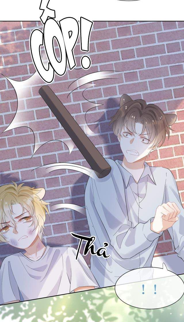 Một Ngụm Nuốt Trọn Thỏ Con Chapter 3 - Trang 2