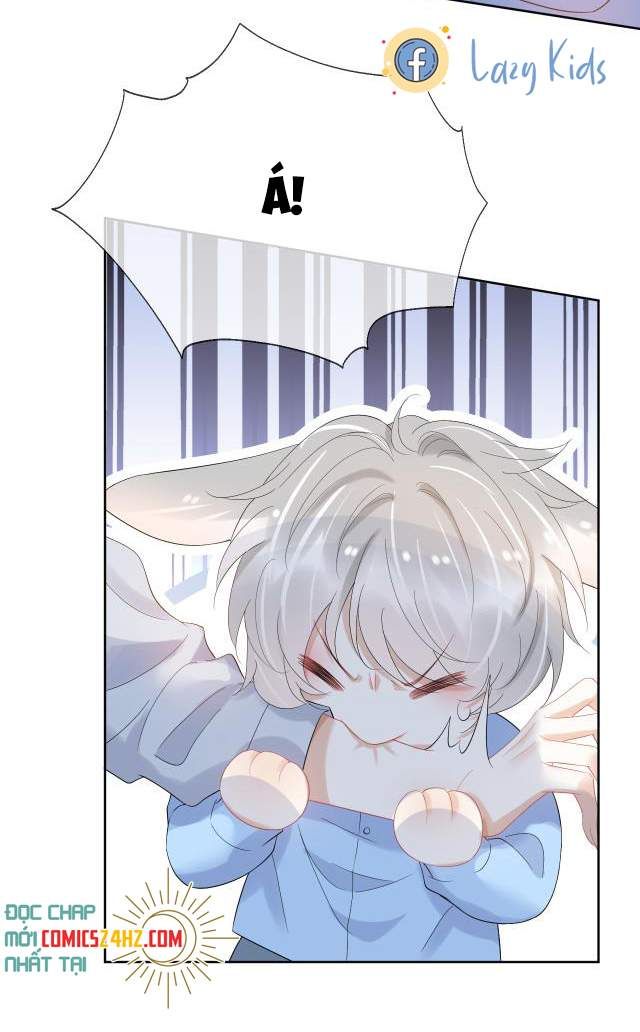 Một Ngụm Nuốt Trọn Thỏ Con Chapter 3 - Trang 2