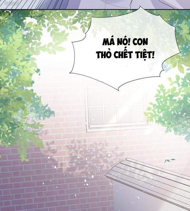 Một Ngụm Nuốt Trọn Thỏ Con Chapter 3 - Trang 2