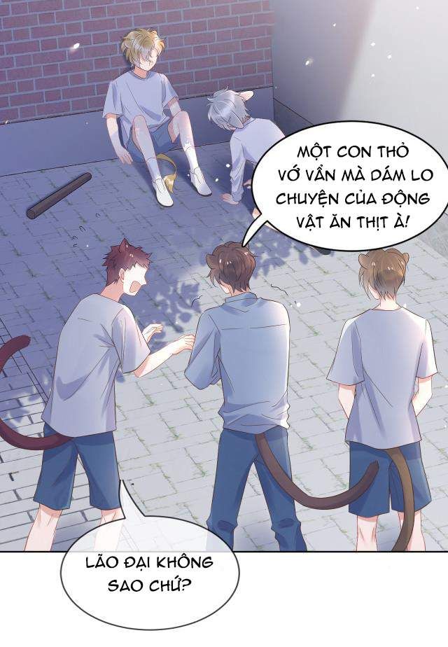 Một Ngụm Nuốt Trọn Thỏ Con Chapter 3 - Trang 2