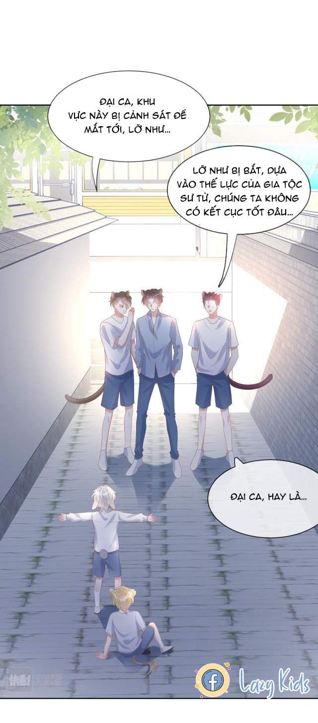 Một Ngụm Nuốt Trọn Thỏ Con Chapter 3 - Trang 2