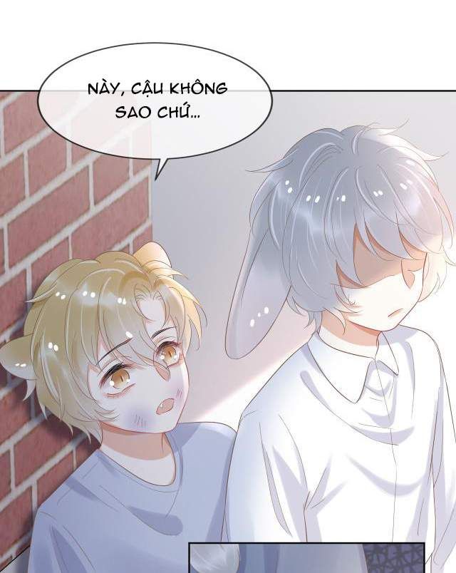 Một Ngụm Nuốt Trọn Thỏ Con Chapter 3 - Trang 2