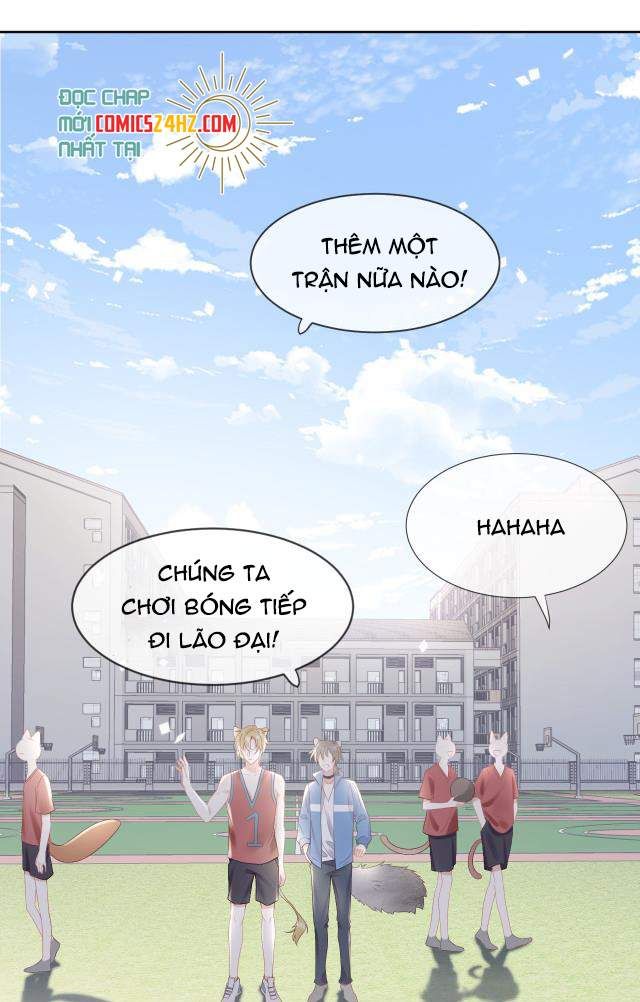 Một Ngụm Nuốt Trọn Thỏ Con Chapter 3 - Trang 2
