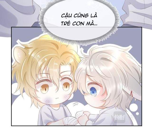 Một Ngụm Nuốt Trọn Thỏ Con Chapter 3 - Trang 2