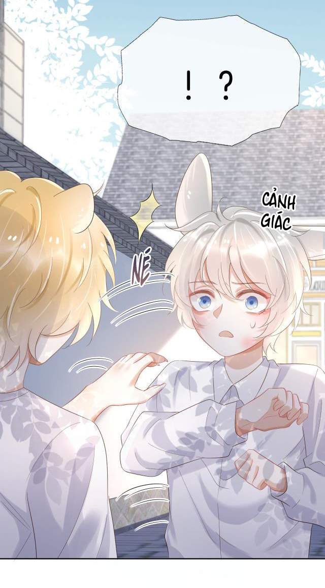 Một Ngụm Nuốt Trọn Thỏ Con Chapter 3 - Trang 2