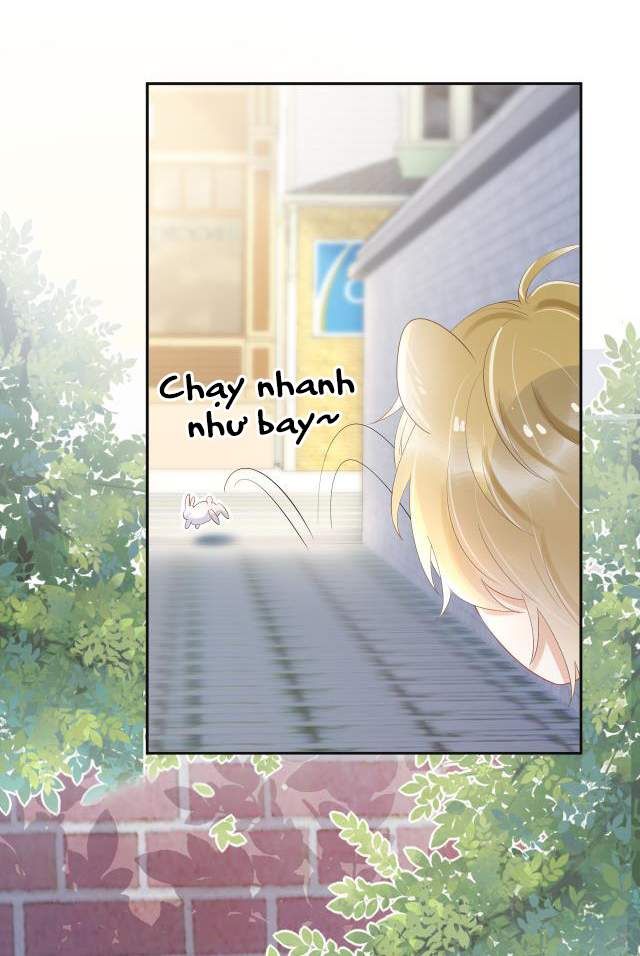 Một Ngụm Nuốt Trọn Thỏ Con Chapter 3 - Trang 2