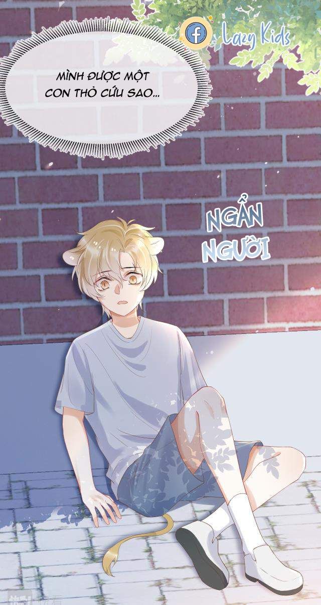 Một Ngụm Nuốt Trọn Thỏ Con Chapter 3 - Trang 2